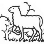 Anabaptist symbol